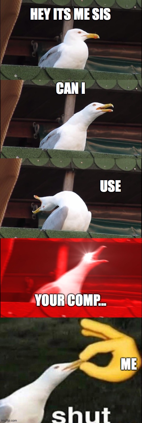 no u can't | HEY ITS ME SIS; CAN I; USE; YOUR COMP... ME | image tagged in memes,inhaling seagull,shut | made w/ Imgflip meme maker