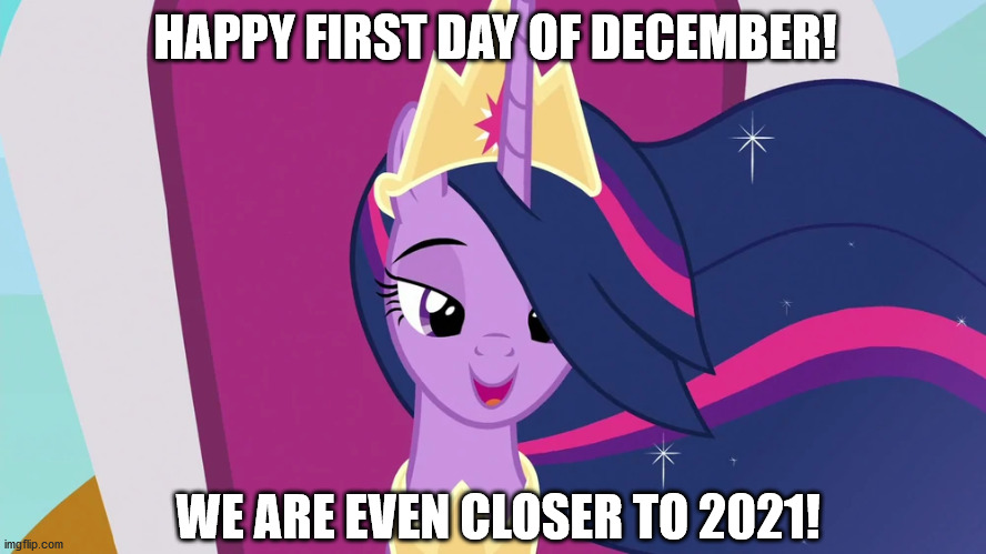 2021 is near! | HAPPY FIRST DAY OF DECEMBER! WE ARE EVEN CLOSER TO 2021! | image tagged in mlp,twilight sparkle,2020 sucks | made w/ Imgflip meme maker