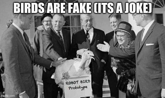 (its a joke) | BIRDS ARE FAKE (ITS A JOKE) | image tagged in bird | made w/ Imgflip meme maker