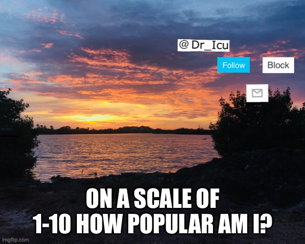 1-10 narf | ON A SCALE OF 1-10 HOW POPULAR AM I? | image tagged in popularity | made w/ Imgflip meme maker