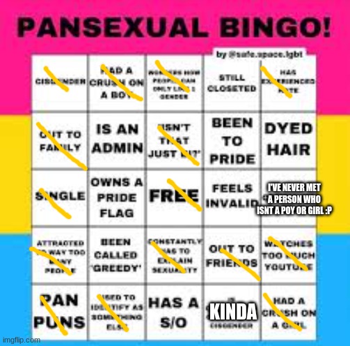 I dont go outside much. also ty Picconia for the bingo link:) | I'VE NEVER MET A PERSON WHO ISNT A POY OR GIRL :P; KINDA | image tagged in pansexual,bingo,pansexual bingo | made w/ Imgflip meme maker