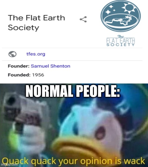 quack quack your opinion is wack | NORMAL PEOPLE: | image tagged in quack quack your opinion is wack | made w/ Imgflip meme maker