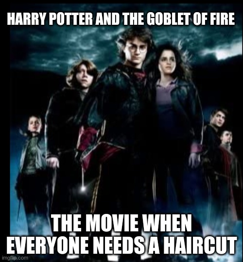 Haircut time | HARRY POTTER AND THE GOBLET OF FIRE; THE MOVIE WHEN EVERYONE NEEDS A HAIRCUT | image tagged in harry potter | made w/ Imgflip meme maker