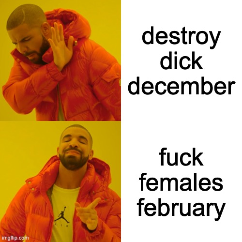 Drake Hotline Bling Meme | destroy dick december fuck females february | image tagged in memes,drake hotline bling | made w/ Imgflip meme maker