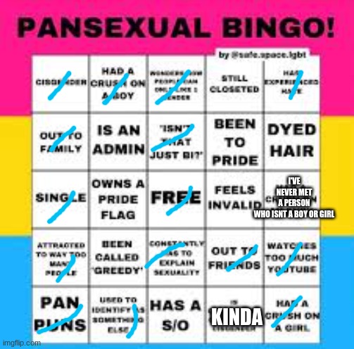 credit to Picconia for the link | I'VE NEVER MET A PERSON WHO ISNT A BOY OR GIRL; KINDA | image tagged in pansexual | made w/ Imgflip meme maker