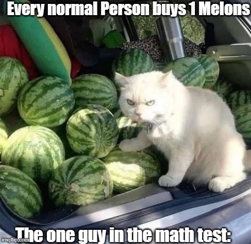 every time at some math lesson s | Every normal Person buys 1 Melons; The one guy in the math test: | image tagged in cat,melons,math,school meme,true | made w/ Imgflip meme maker