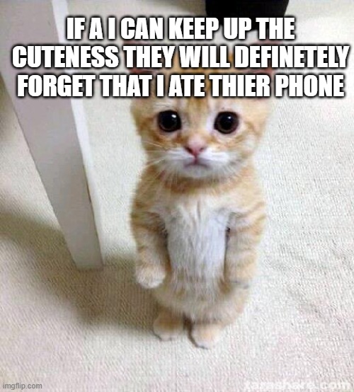 Cute Cat | IF A I CAN KEEP UP THE CUTENESS THEY WILL DEFINETELY FORGET THAT I ATE THIER PHONE | image tagged in memes,cute cat | made w/ Imgflip meme maker