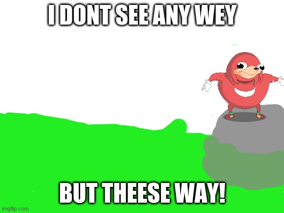 Me Agree | I DONT SEE ANY WEY; BUT THEESE WAY! | image tagged in blank white template | made w/ Imgflip meme maker