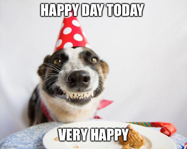 im so happy 
Happiest person alive | HAPPY DAY TODAY; VERY HAPPY | image tagged in birthday dog | made w/ Imgflip meme maker