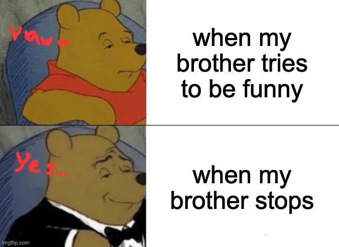 winnie the boo | when my brother tries to be funny; when my brother stops | image tagged in memes,tuxedo winnie the pooh | made w/ Imgflip meme maker