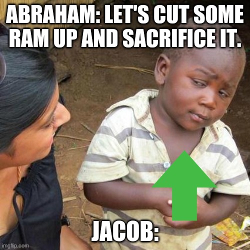 Third World Skeptical Kid Meme | ABRAHAM: LET'S CUT SOME RAM UP AND SACRIFICE IT. JACOB: | image tagged in memes,third world skeptical kid | made w/ Imgflip meme maker