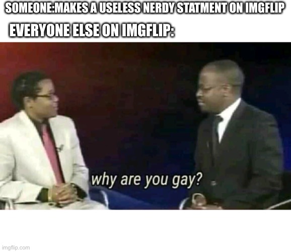 Idk what to put in title | SOMEONE:MAKES A USELESS NERDY STATMENT ON IMGFLIP; EVERYONE ELSE ON IMGFLIP: | image tagged in why are you gay,imgflip | made w/ Imgflip meme maker