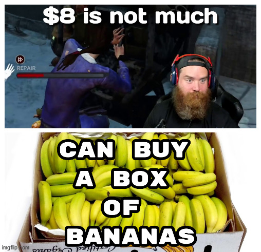 Streamer says $8 isn´t much | image tagged in streamer,money,twitch,not much,bananas,8 dollars | made w/ Imgflip meme maker