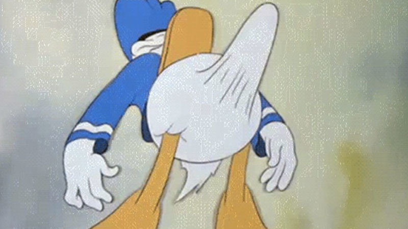 Donald Duck Boner Blank Meme Template