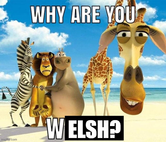 welsh bullying | ELSH? | image tagged in welsh,wales,madagascar,penguins of madagascar,madagascar penguin | made w/ Imgflip meme maker