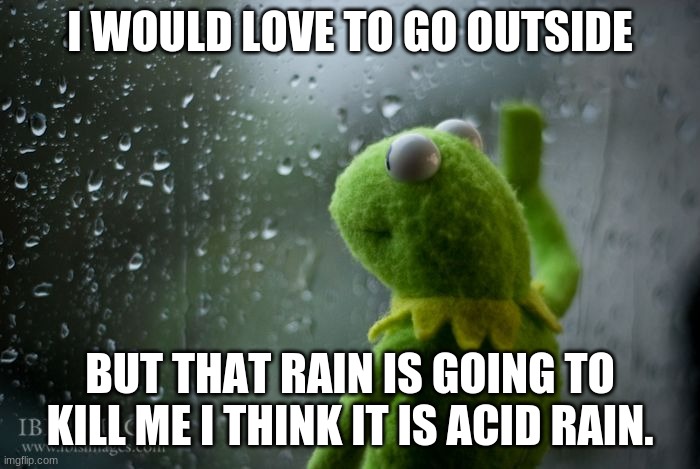 kermit window | I WOULD LOVE TO GO OUTSIDE; BUT THAT RAIN IS GOING TO KILL ME I THINK IT IS ACID RAIN. | image tagged in kermit window | made w/ Imgflip meme maker