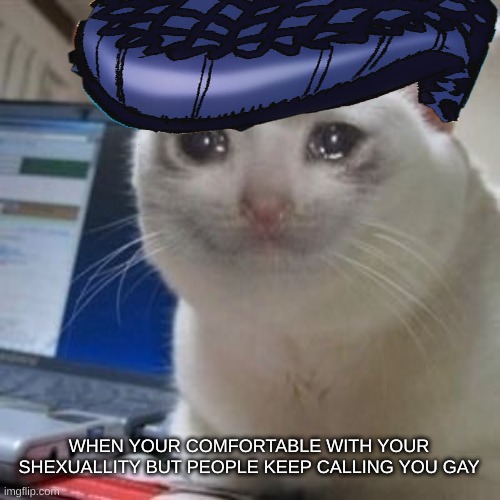 Sad cat tears | WHEN YOUR COMFORTABLE WITH YOUR SHEXUALLITY BUT PEOPLE KEEP CALLING YOU GAY | image tagged in sad cat tears,jjba | made w/ Imgflip meme maker