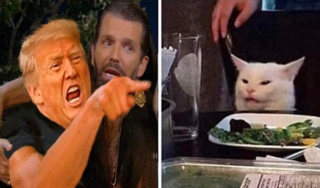 Trump Yelling At Cat Blank Template - Imgflip