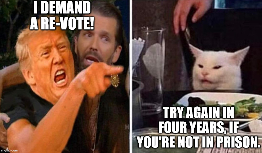 Re-Vote! | I DEMAND A RE-VOTE! TRY AGAIN IN FOUR YEARS, IF YOU'RE NOT IN PRISON. | image tagged in trump yelling at cat | made w/ Imgflip meme maker