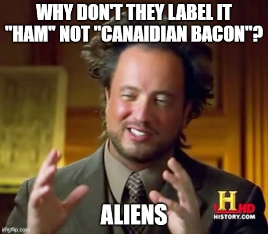 Ancient Aliens Meme | WHY DON'T THEY LABEL IT "HAM" NOT "CANAIDIAN BACON"? ALIENS | image tagged in memes,ancient aliens | made w/ Imgflip meme maker
