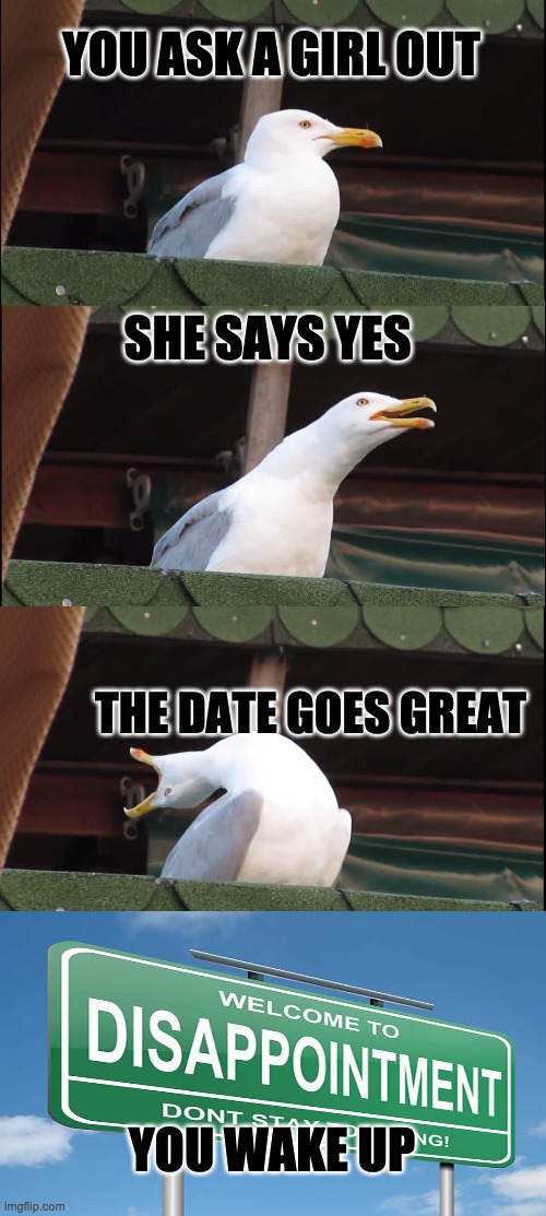 Me irl | YOU ASK A GIRL OUT; SHE SAYS YES; THE DATE GOES GREAT; YOU WAKE UP | image tagged in memes,inhaling seagull | made w/ Imgflip meme maker