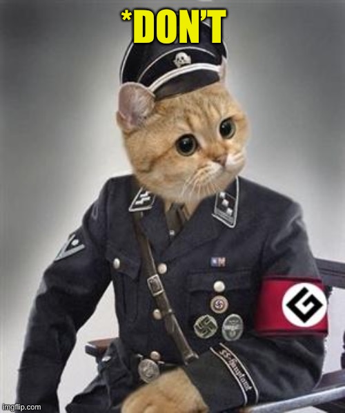 Grammar Nazi Cat | *DON’T | image tagged in grammar nazi cat | made w/ Imgflip meme maker