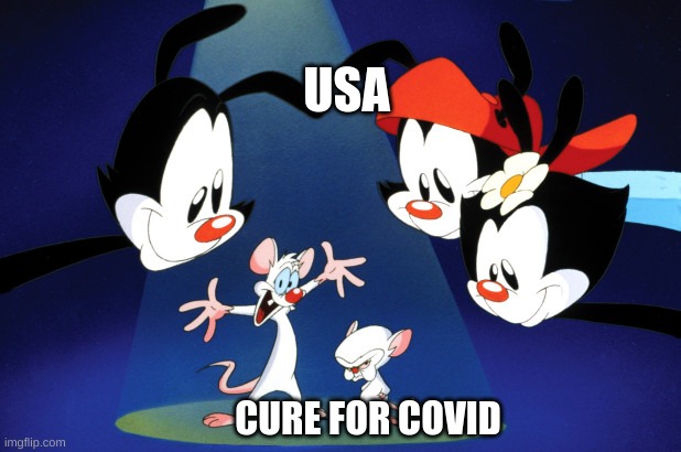 Pinky and the Brain Animaniacs | USA; CURE FOR COVID | image tagged in pinky and the brain animaniacs | made w/ Imgflip meme maker