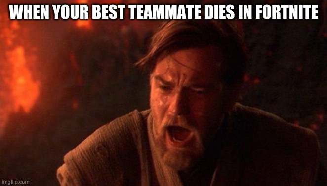 You Were The Chosen One (Star Wars) | WHEN YOUR BEST TEAMMATE DIES IN FORTNITE | image tagged in memes,you were the chosen one star wars | made w/ Imgflip meme maker