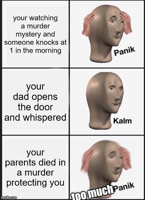 ummm | your watching a murder mystery and someone knocks at 1 in the morning; your dad opens the door and whispered; your parents died in a murder protecting you; too much | image tagged in memes,panik kalm panik,scary | made w/ Imgflip meme maker