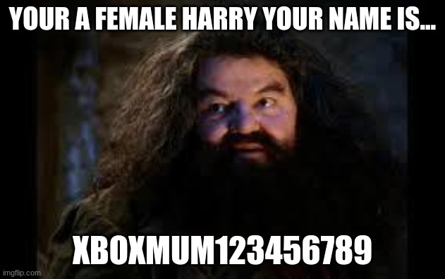 yer a female harry | YOUR A FEMALE HARRY YOUR NAME IS... XBOXMUM123456789 | image tagged in hagrid yer a wizard | made w/ Imgflip meme maker