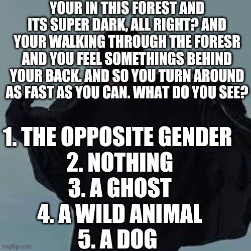 R you a psychopath? | YOUR IN THIS FOREST AND ITS SUPER DARK, ALL RIGHT? AND YOUR WALKING THROUGH THE FORESR AND YOU FEEL SOMETHINGS BEHIND YOUR BACK. AND SO YOU TURN AROUND AS FAST AS YOU CAN. WHAT DO YOU SEE? 1. THE OPPOSITE GENDER 
2. NOTHING
3. A GHOST
4. A WILD ANIMAL
5. A DOG | image tagged in nfs template | made w/ Imgflip meme maker