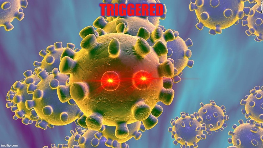 Coronavirus | TRIGGERED | image tagged in coronavirus | made w/ Imgflip meme maker