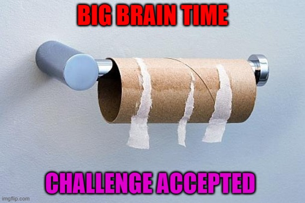 No More Toilet Paper | BIG BRAIN TIME; CHALLENGE ACCEPTED | image tagged in no more toilet paper | made w/ Imgflip meme maker