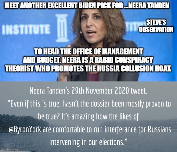 politics | STEVE'S OBSERVATION | image tagged in political meme | made w/ Imgflip meme maker