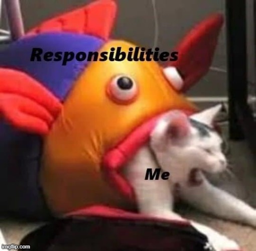 me with responsibilities | image tagged in cat getting eaten by a fish | made w/ Imgflip meme maker