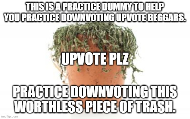 Downvote practice here | THIS IS A PRACTICE DUMMY TO HELP YOU PRACTICE DOWNVOTING UPVOTE BEGGARS. UPVOTE PLZ; PRACTICE DOWNVOTING THIS WORTHLESS PIECE OF TRASH. | image tagged in dead plant,upvote begging,downvote,practice,dummy,trash | made w/ Imgflip meme maker