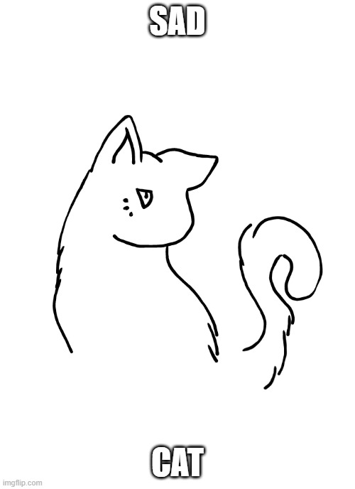 sadcat | SAD; CAT | image tagged in depressed,cat | made w/ Imgflip meme maker
