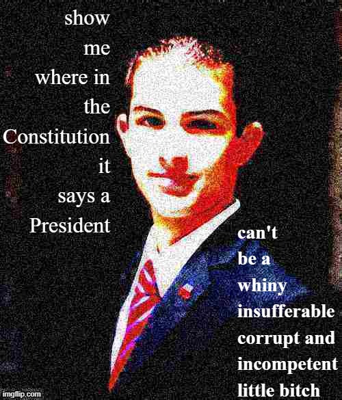 damn bruh stop bodying those libtrads | show me where in the Constitution it says a President; can't be a whiny insufferable corrupt and incompetent little bitch | image tagged in college conservative deep-fried 3,conservative logic,college conservative,donald trump is an idiot,trump is a moron,maga | made w/ Imgflip meme maker