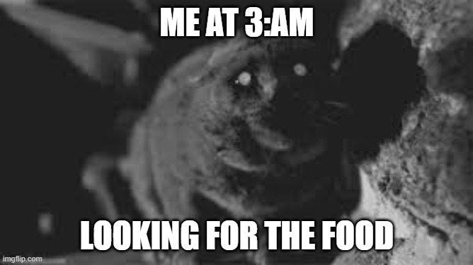 oooohhhhhhh fffooooood | ME AT 3:AM; LOOKING FOR THE FOOD | made w/ Imgflip meme maker