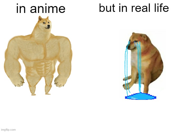 Buff Doge vs. Cheems Meme | in anime; but in real life | image tagged in memes,buff doge vs cheems | made w/ Imgflip meme maker