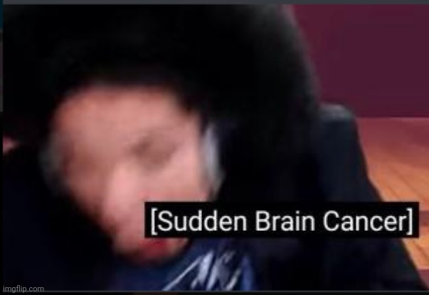 Sudden Brain Cancer | image tagged in sudden brain cancer | made w/ Imgflip meme maker