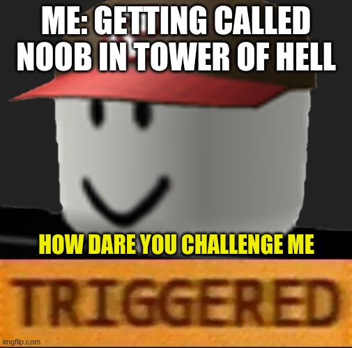 Roblox Triggered | ME: GETTING CALLED NOOB IN TOWER OF HELL; HOW DARE YOU CHALLENGE ME | image tagged in roblox triggered | made w/ Imgflip meme maker
