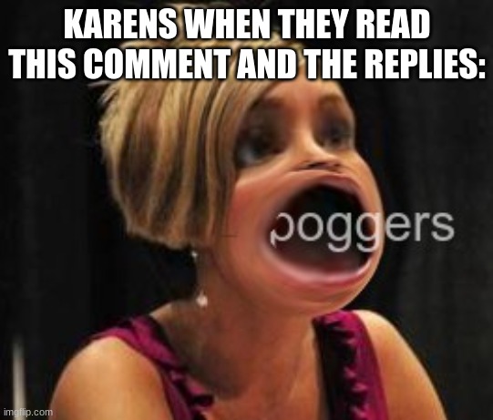 KARENS WHEN THEY READ THIS COMMENT AND THE REPLIES: | made w/ Imgflip meme maker