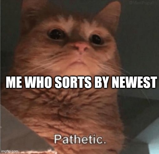 Pathetic Cat | ME WHO SORTS BY NEWEST | image tagged in pathetic cat | made w/ Imgflip meme maker