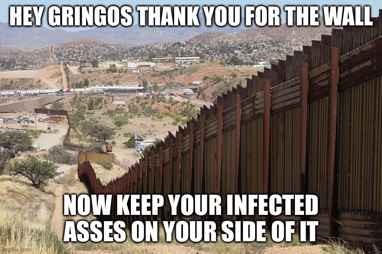 Covid-19 | HEY GRINGOS THANK YOU FOR THE WALL; NOW KEEP YOUR INFECTED ASSES ON YOUR SIDE OF IT | image tagged in border wall 02 | made w/ Imgflip meme maker