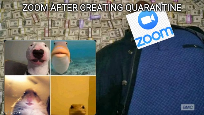 huell money | ZOOM AFTER CREATING QUARANTINE | image tagged in huell money | made w/ Imgflip meme maker