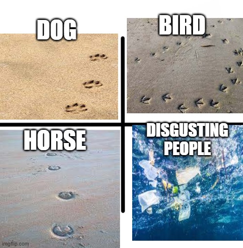 BIRD; DOG; DISGUSTING PEOPLE; HORSE | image tagged in blank starter pack | made w/ Imgflip meme maker