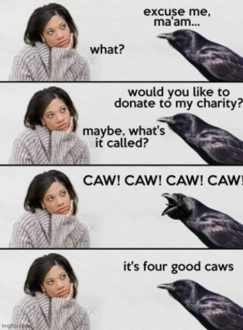 Four Good Caws | image tagged in funny,meme,memes | made w/ Imgflip meme maker