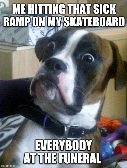 Suprised Boxer | ME HITTING THAT SICK RAMP ON MY SKATEBOARD; EVERYBODY AT THE FUNERAL | image tagged in suprised boxer | made w/ Imgflip meme maker