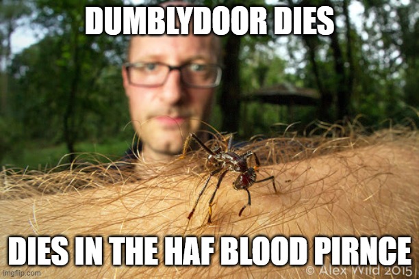 HARRY POTER SPOILERS | DUMBLYDOOR DIES; DIES IN THE HAF BLOOD PIRNCE | image tagged in alex | made w/ Imgflip meme maker
